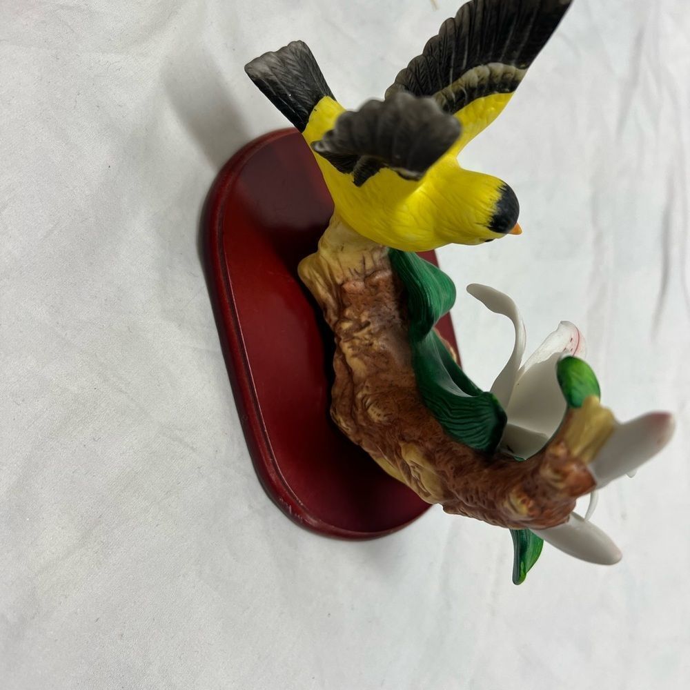 Bird collection - Picture 10 of 16
